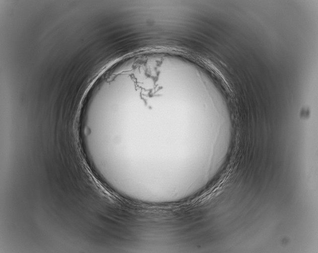 X0000098210828200805151251