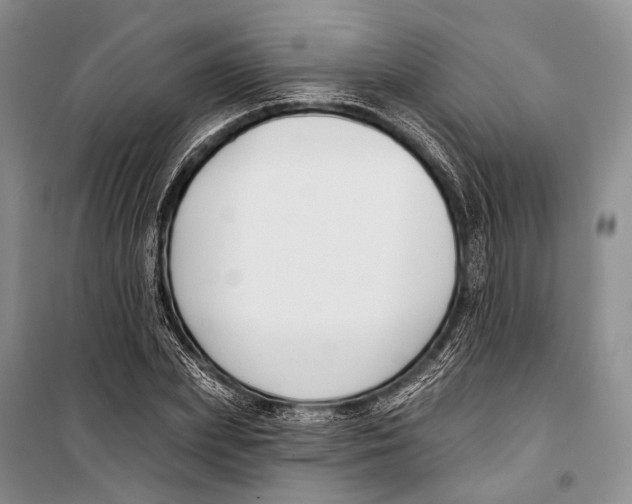 X0000098210831200805151251