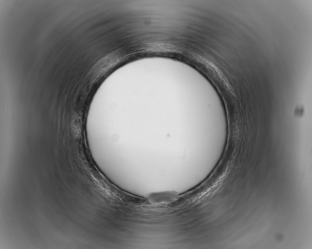 X0000098210833200805151251