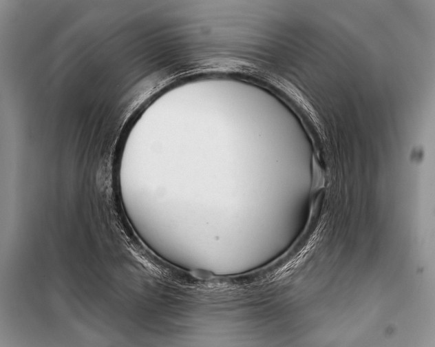 X0000098210834200805151251