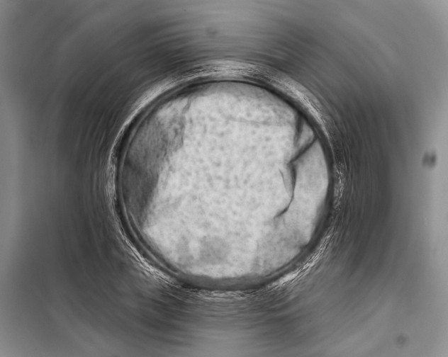 X0000098210835200805151251