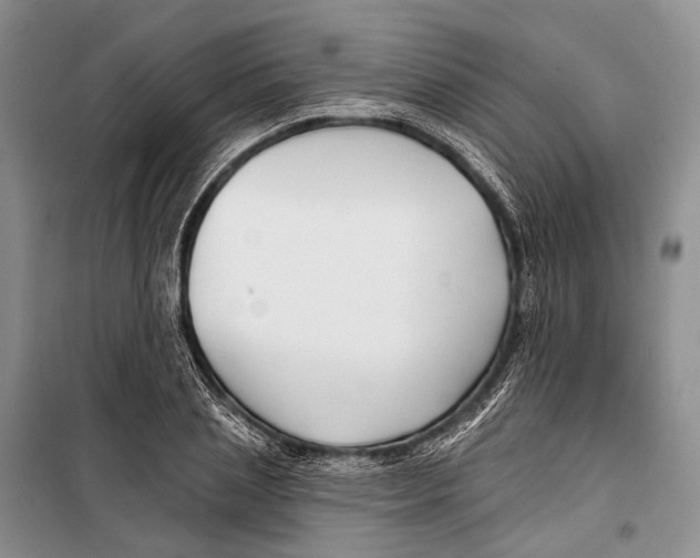 X0000098210837200805151251