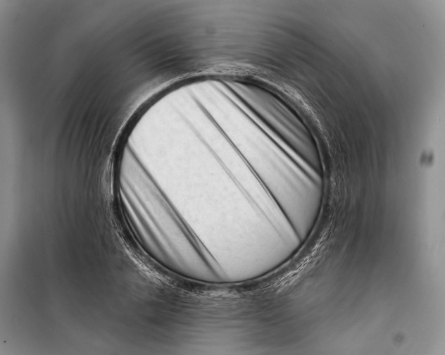X0000098210838200805151251
