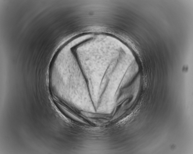 X0000098210839200805151251