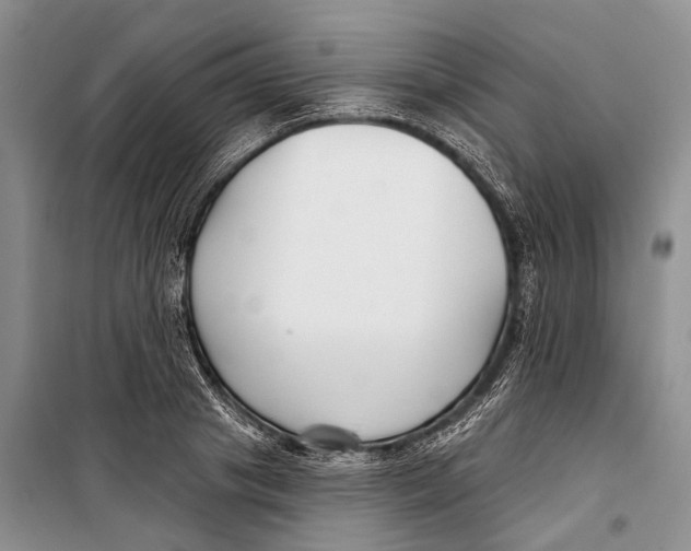 X0000098210841200805151251