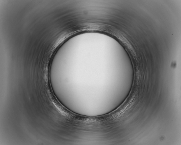 X0000098210842200805151251