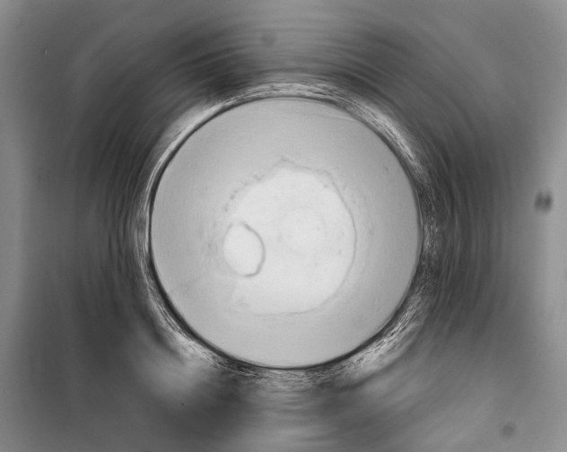 X0000098210844200805151251