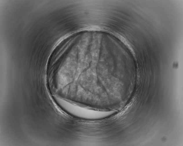 X0000098210845200805151251