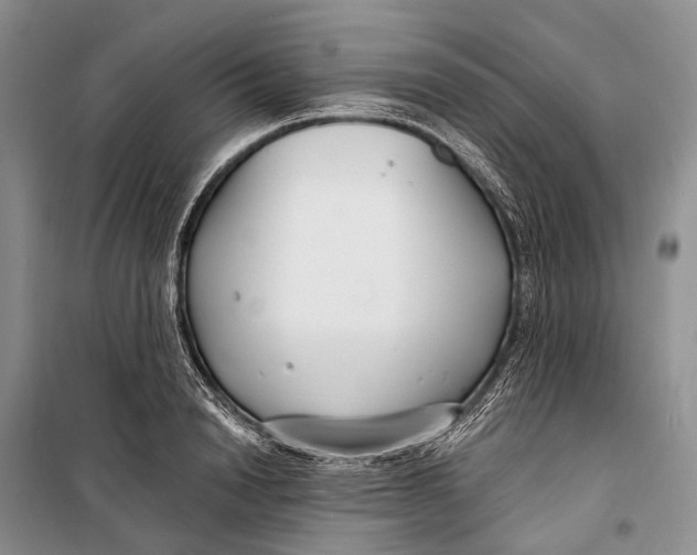 X0000098210846200805151251