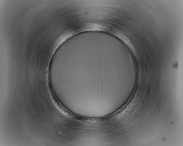 X0000098210850200805151251