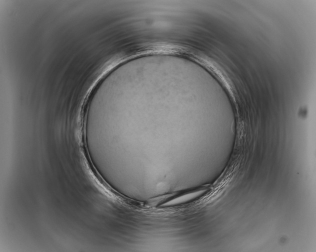 X0000098210851200805151251