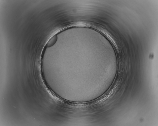 X0000098210853200805151251