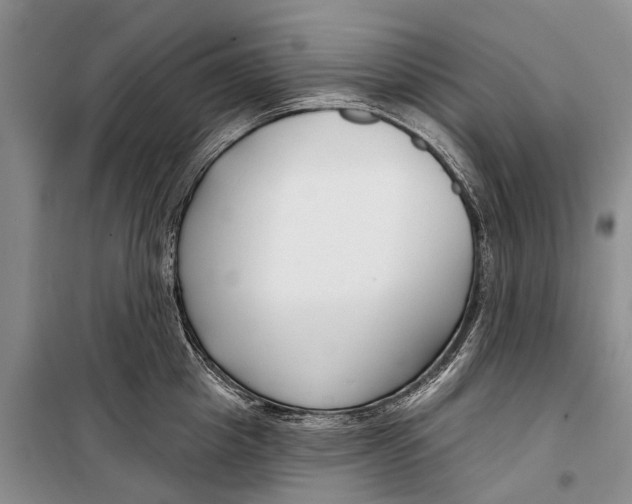 X0000098210857200805151251