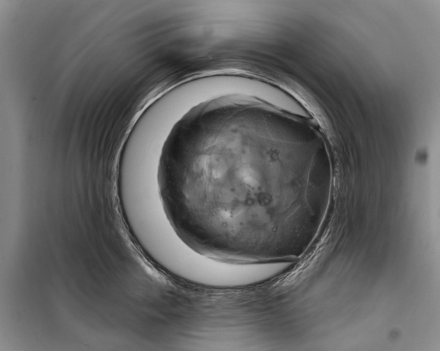 X0000098210858200805151251