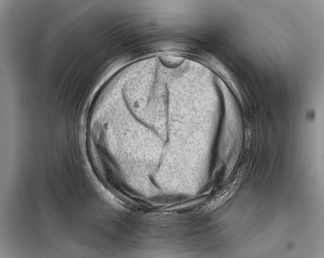 X0000098210859200805151251