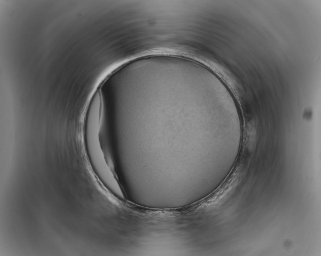X0000098210862200805151251