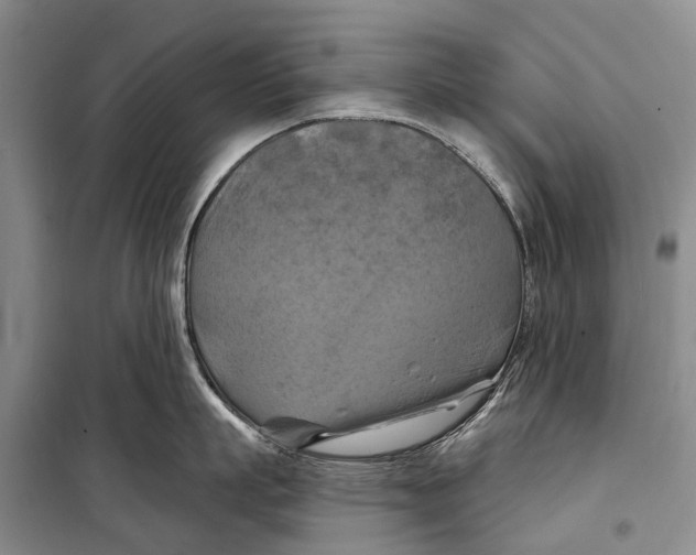 X0000098210863200805151251