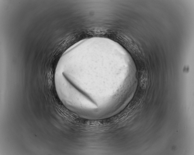 X0000098210866200805151250
