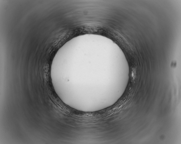X0000098210867200805151250