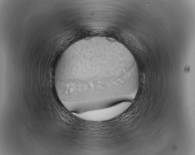 X0000098210868200805151250