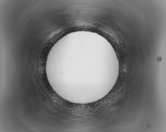 X0000098210869200805151250