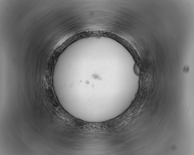 X0000098210871200805151250