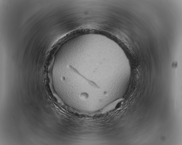 X0000098210872200805151250