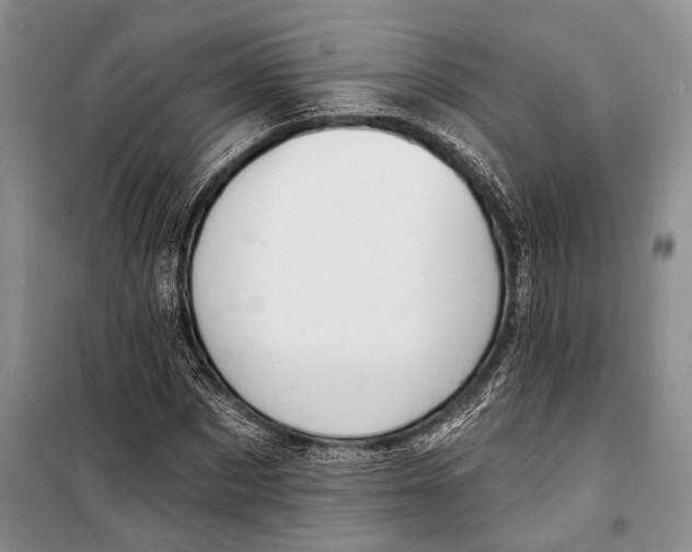 X0000098210873200805151250