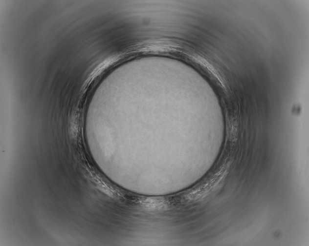 X0000098210874200805151250