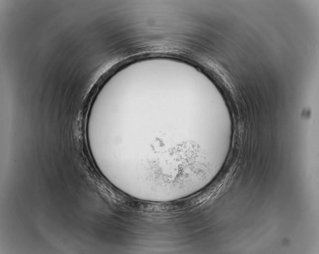 X0000098210875200805151250