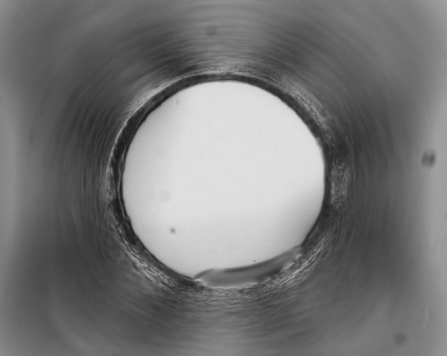 X0000098210876200805151250