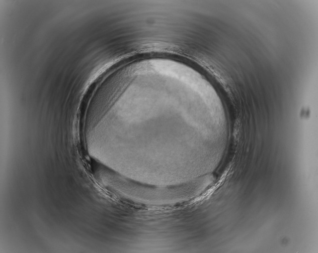 X0000098210877200805151250