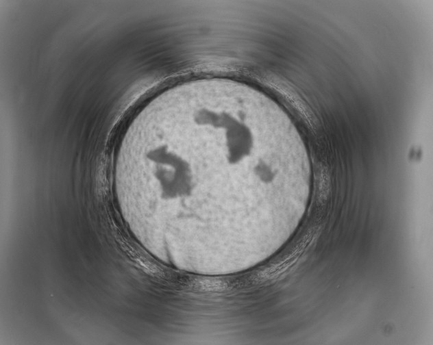 X0000098210878200805151250