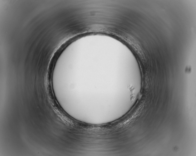 X0000098210880200805151250