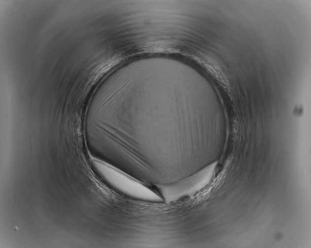 X0000098210881200805151250