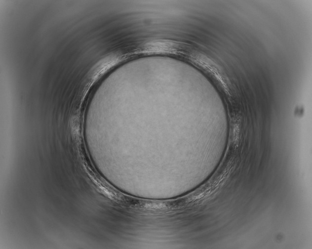 X0000098210882200805151250