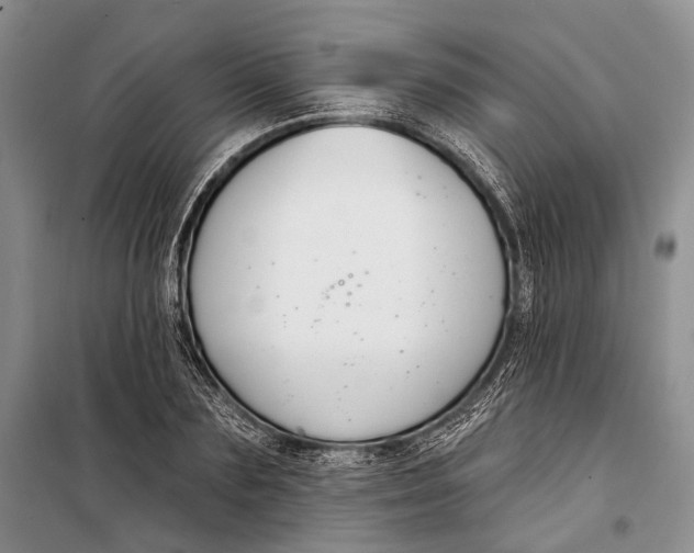 X0000098210883200805151250