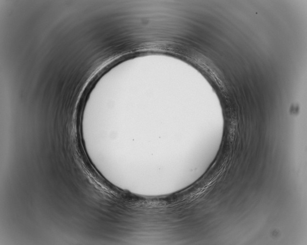 X0000098210884200805151250