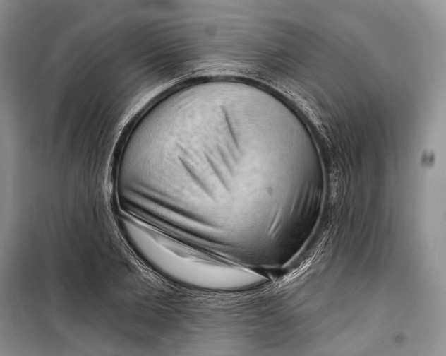 X0000098210885200805151250