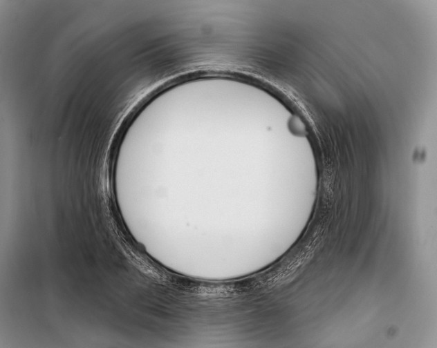 X0000098210887200805151250