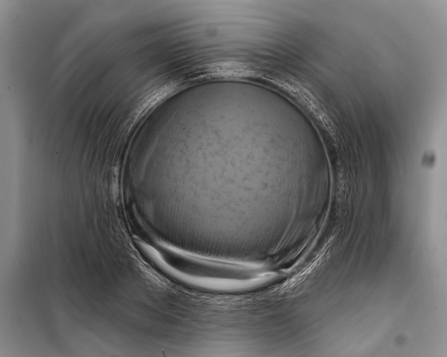 X0000098210889200805151250