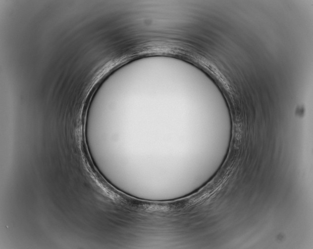 X0000098210890200805151250