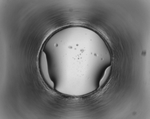 X0000098210891200805151250