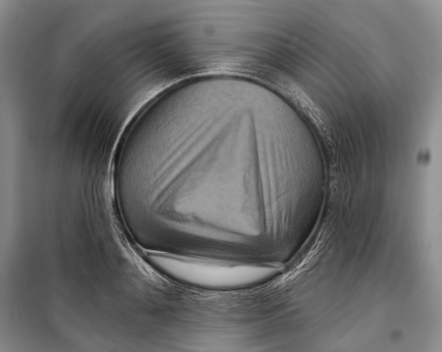 X0000098210892200805151250