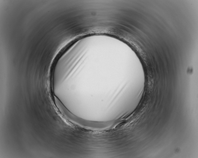 X0000098210894200805151250