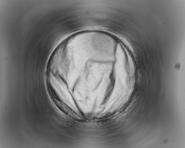 X0000098210895200805151250
