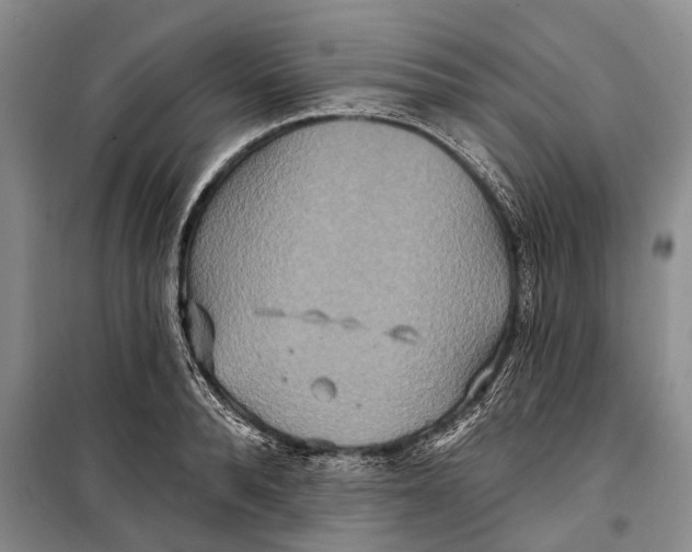 X0000098210896200805151250
