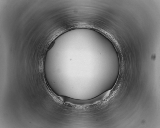 X0000098210897200805151250