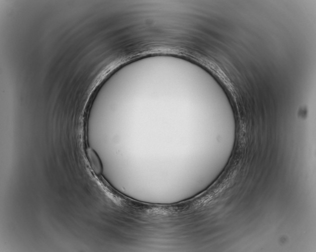 X0000098210898200805151250