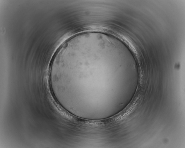 X0000098210899200805151250